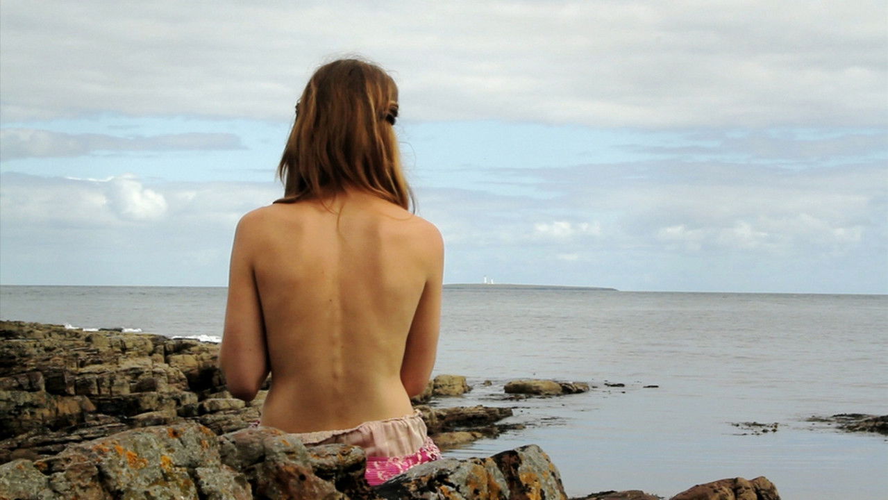 Backdrop image for movie The Selkie's Lover