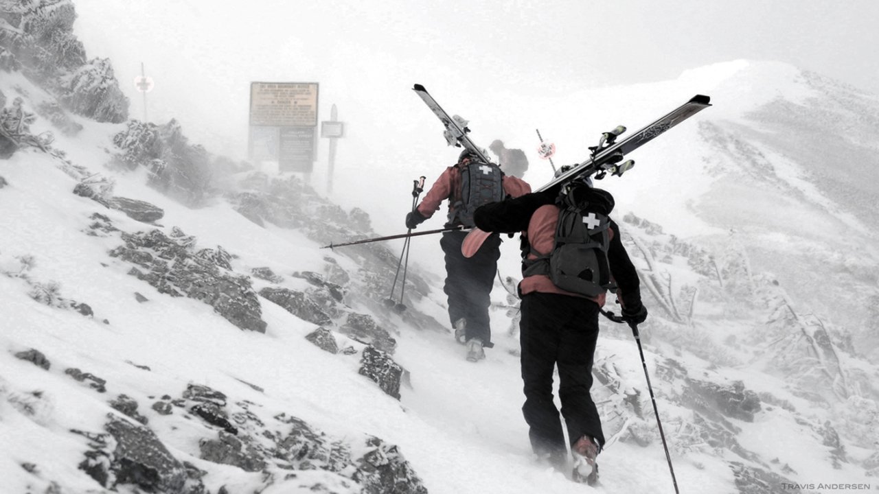 Backdrop image for movie Snow Guardians