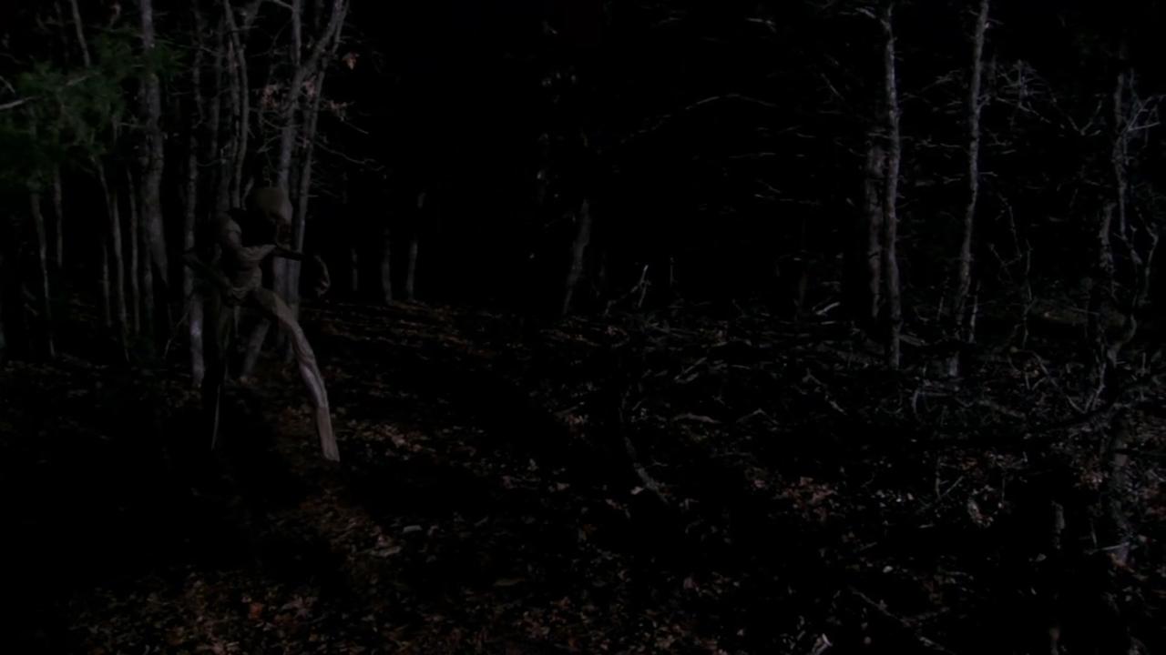 Backdrop image for movie The Hunt
