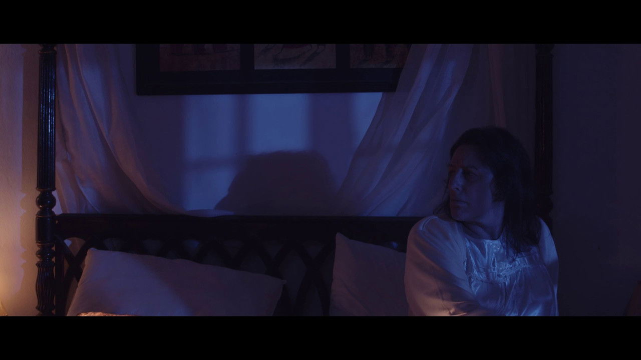 Backdrop image for movie Ruidos