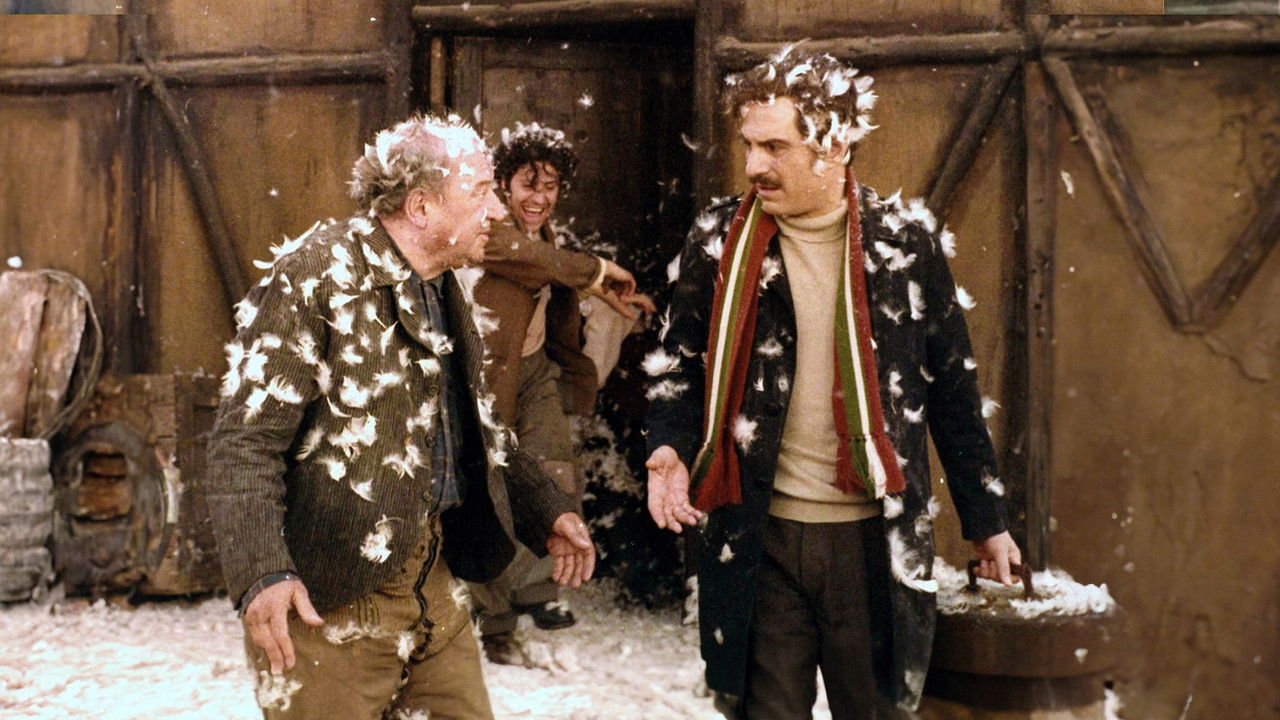 Backdrop image for movie Bread and Chocolate