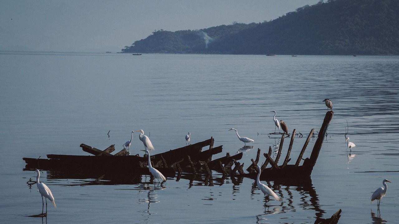 Backdrop image for movie Antes do Último Adeus