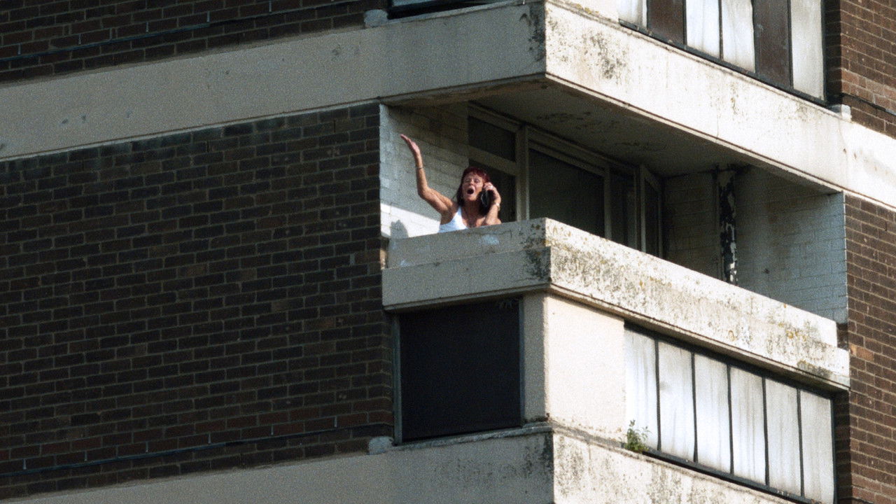 Backdrop image for movie The Flats