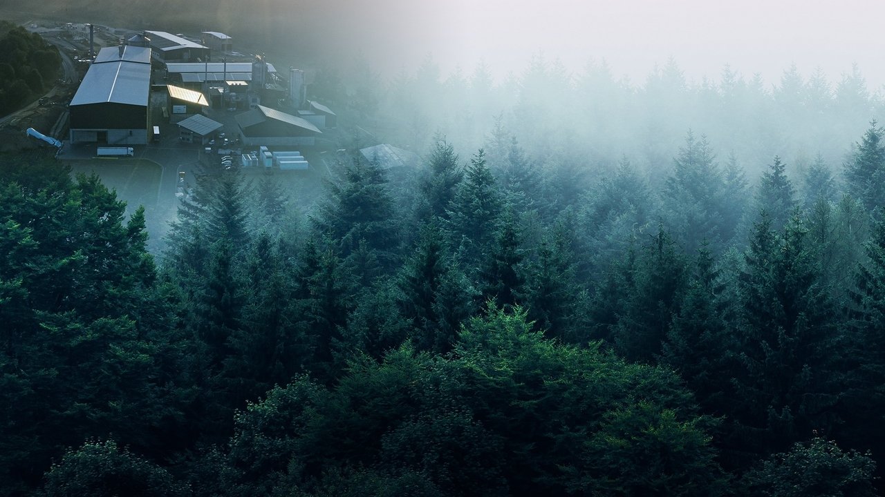 Backdrop image for movie The Power Reset