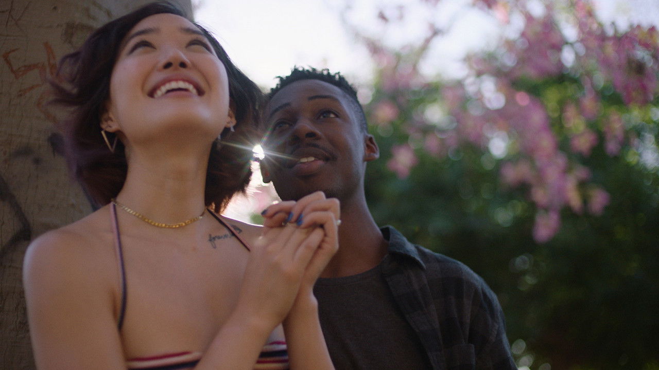 Backdrop image for movie Pink Opaque