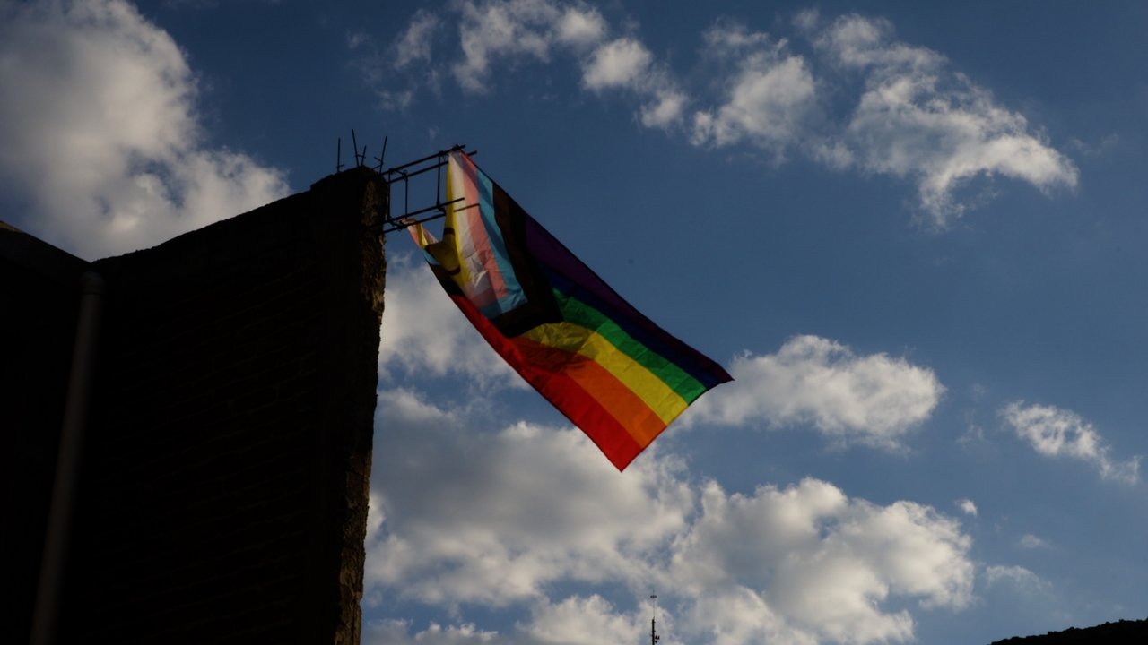 Backdrop image for movie Guanajuato: Dissent and Diversity