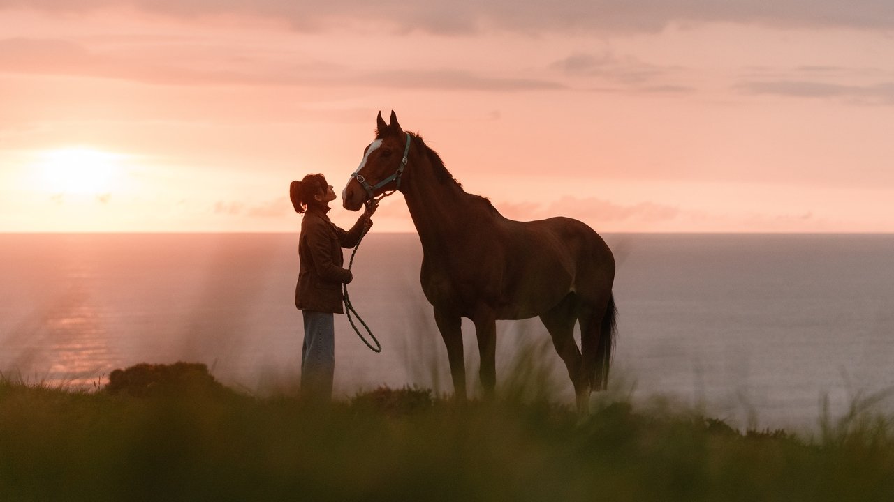 Backdrop image for movie Rosamunde Pilcher: Jahrestag