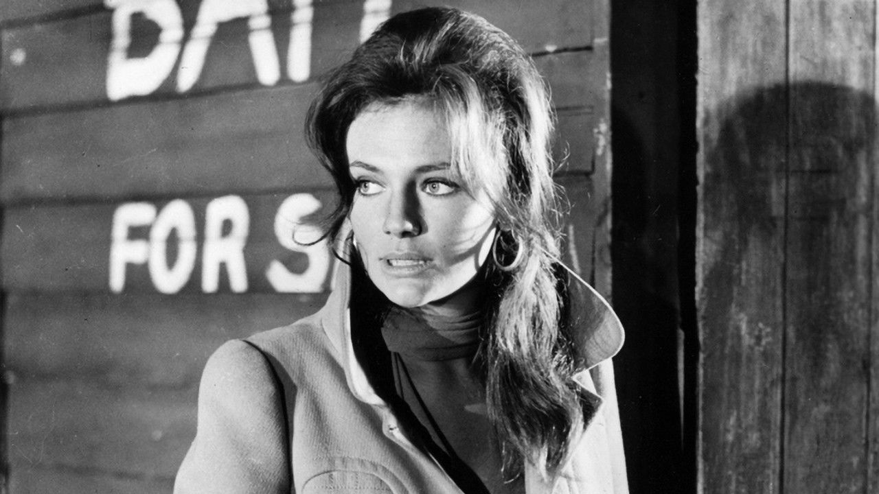 Backdrop image for movie The Cape Town Affair