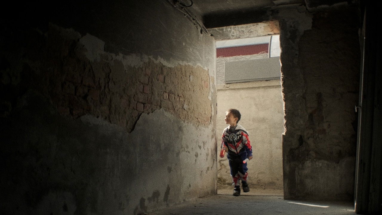 Backdrop image for movie Cat Rong Po