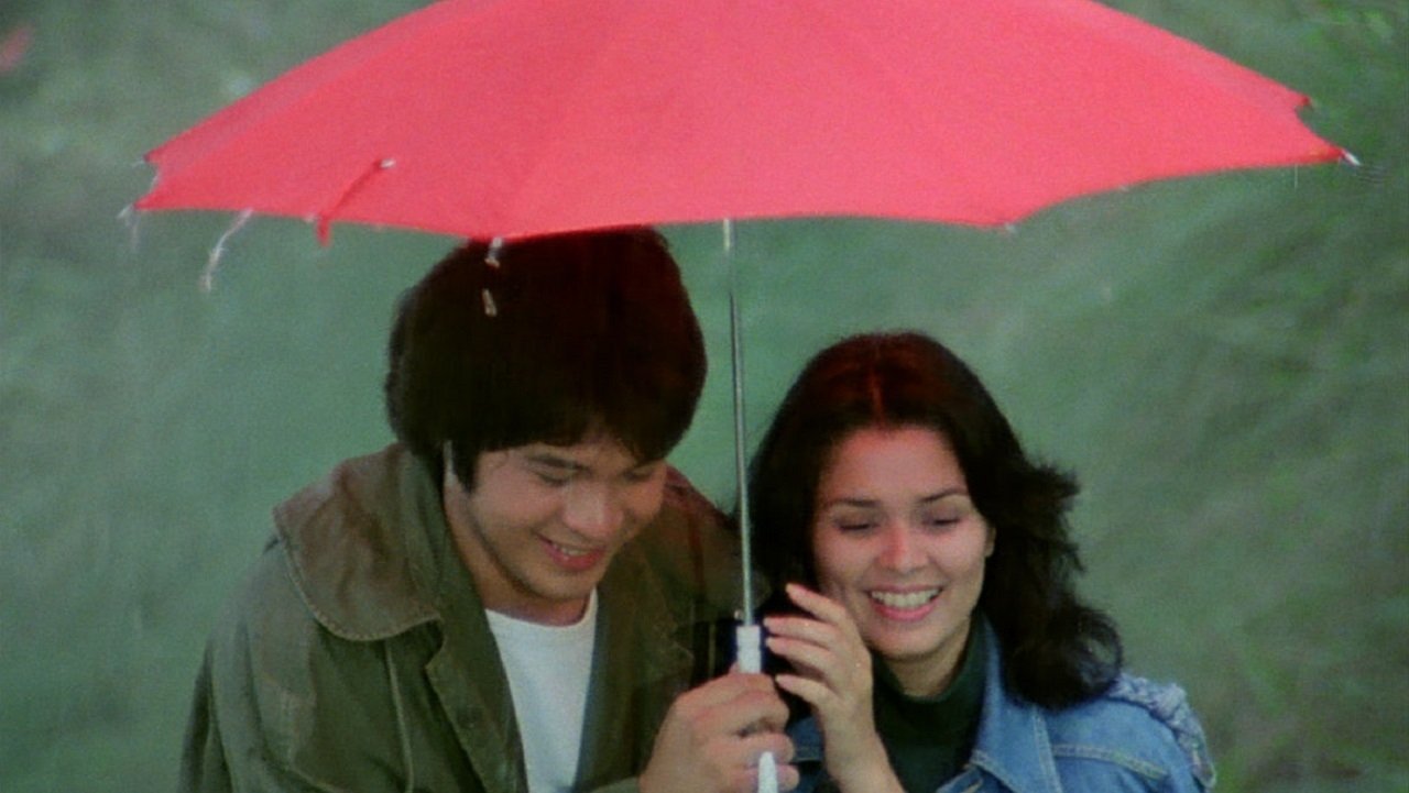 Backdrop image for movie Moments in a Stolen Dream