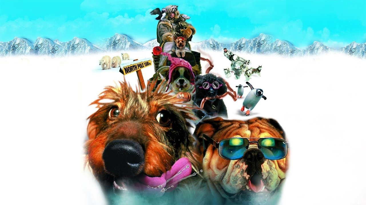 Backdrop image for movie Chilly Dogs