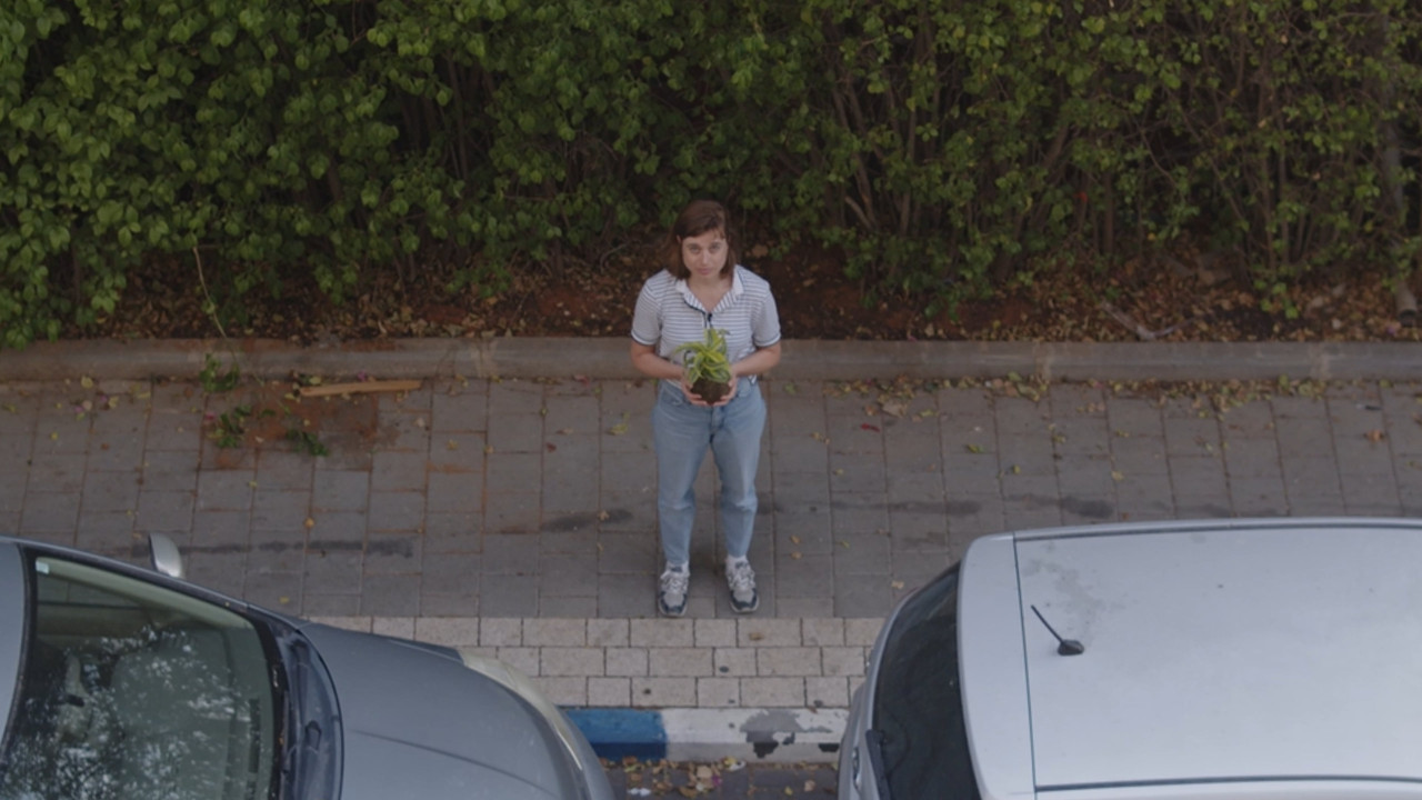 Backdrop image for movie Demursyncronosis