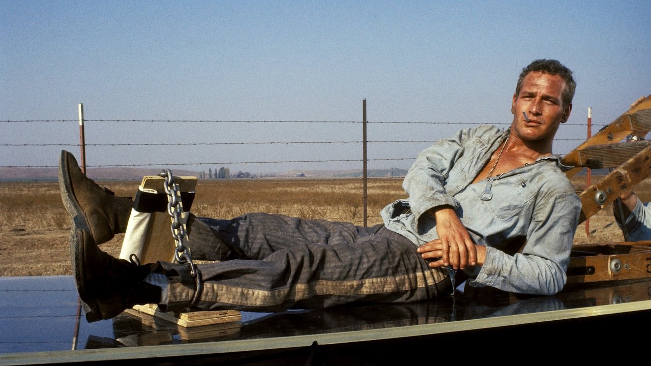 Backdrop image for movie Cool Hand Luke