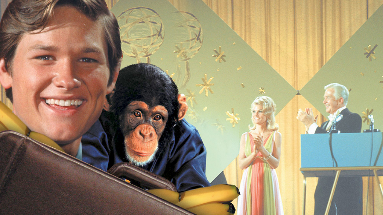 Backdrop image for movie The Barefoot Executive