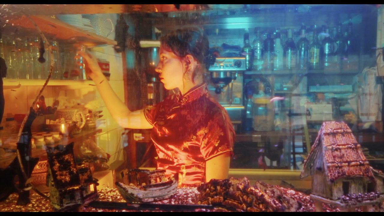 Backdrop image for movie Des Carpes et des Éléphants