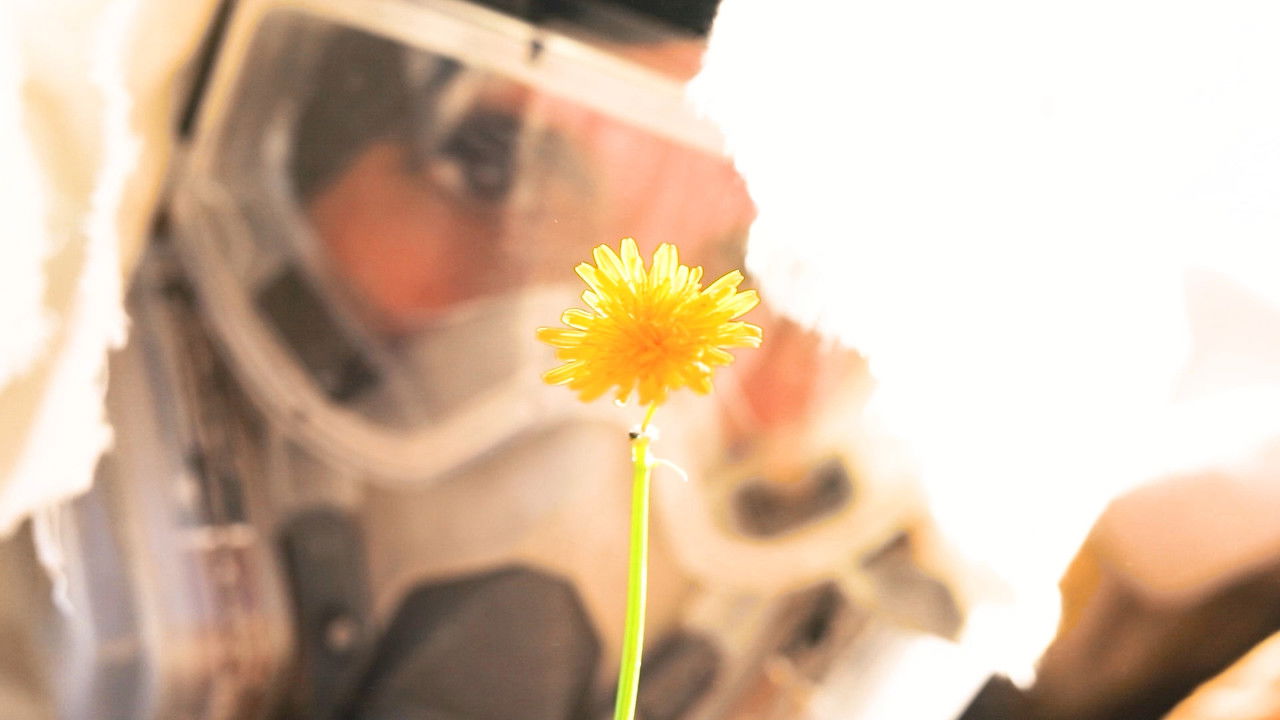 Backdrop image for movie Bajo el Sol