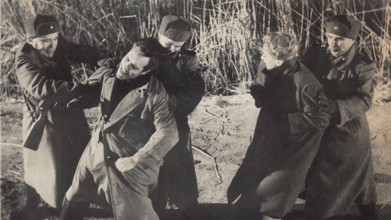 Backdrop image for movie The Journey