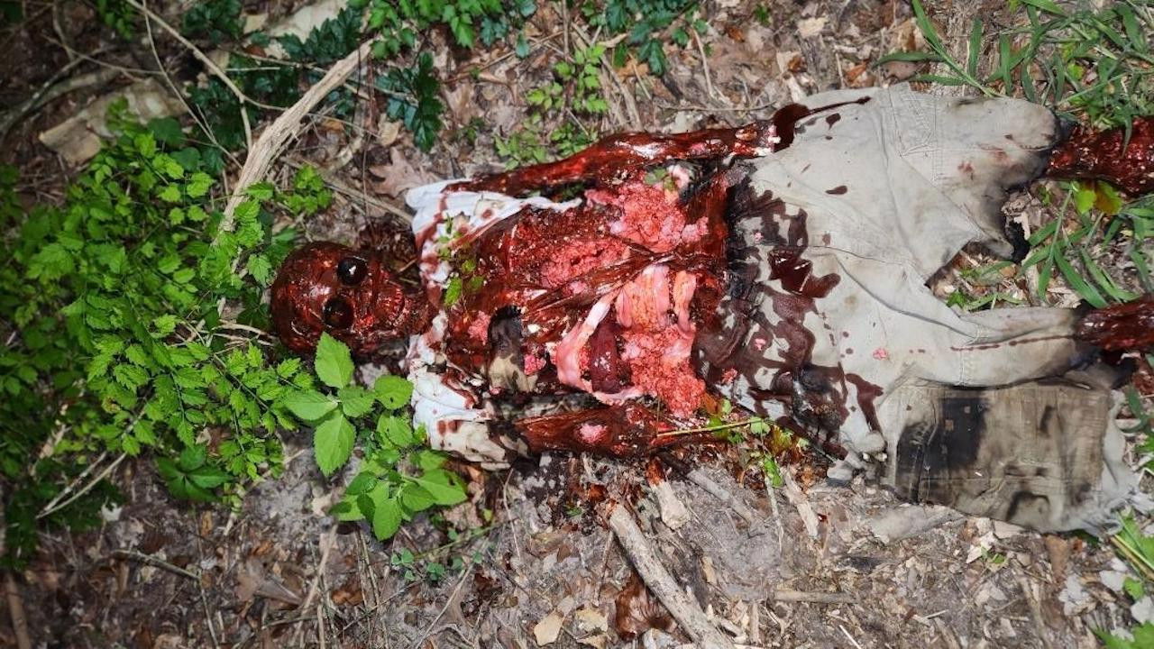 Backdrop image for movie Lights Over Montgomery County