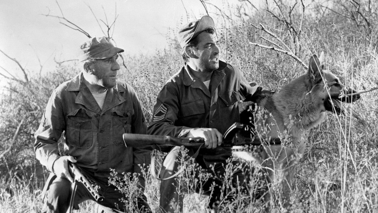 Backdrop image for movie The Young and the Brave