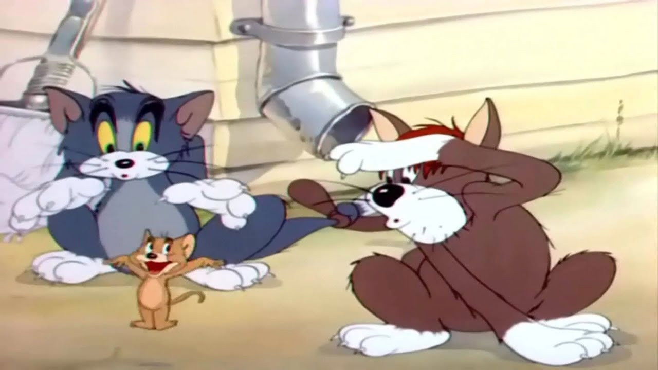 Backdrop image for movie Sufferin' Cats!