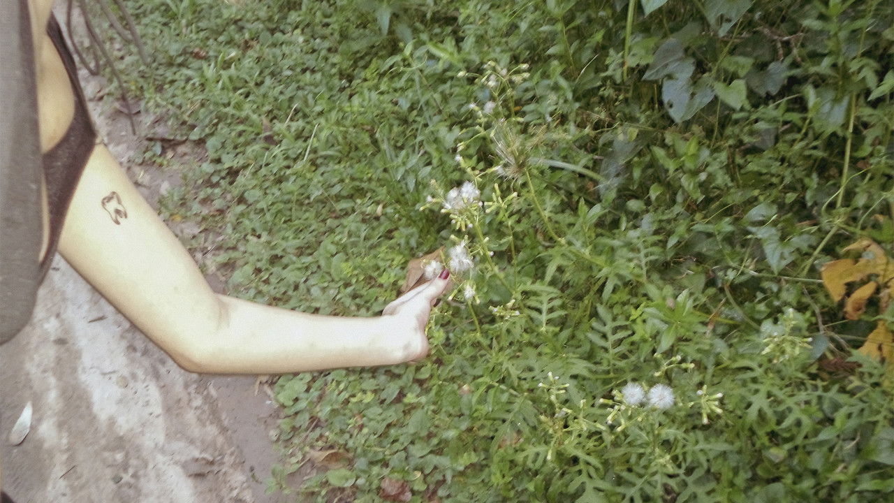 Backdrop image for movie o céu diante dos meus olhos nunca é cinza