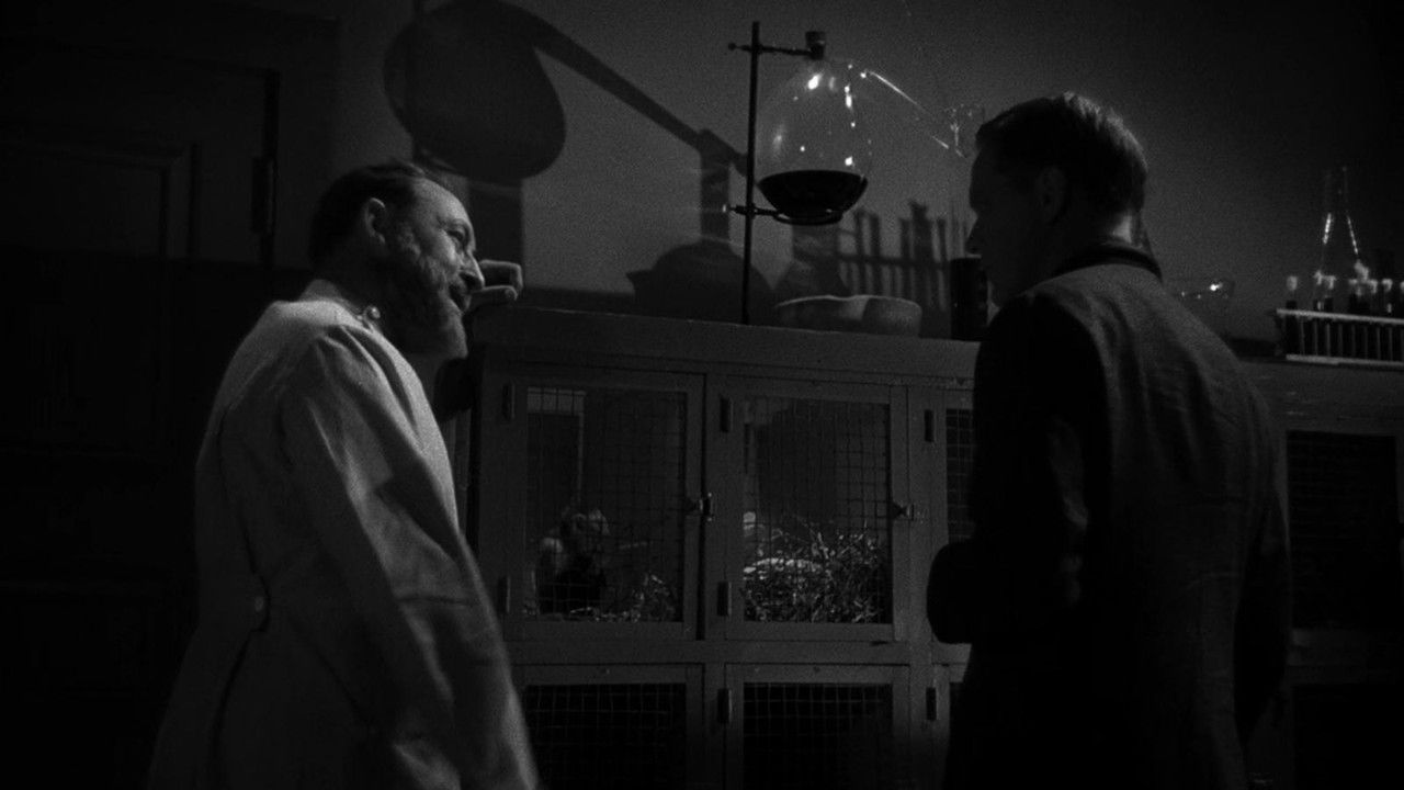 Backdrop image for movie The Mad Doctor of Market Street