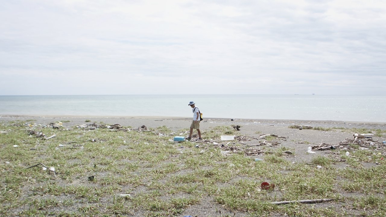 Backdrop image for movie Walk the Tideline