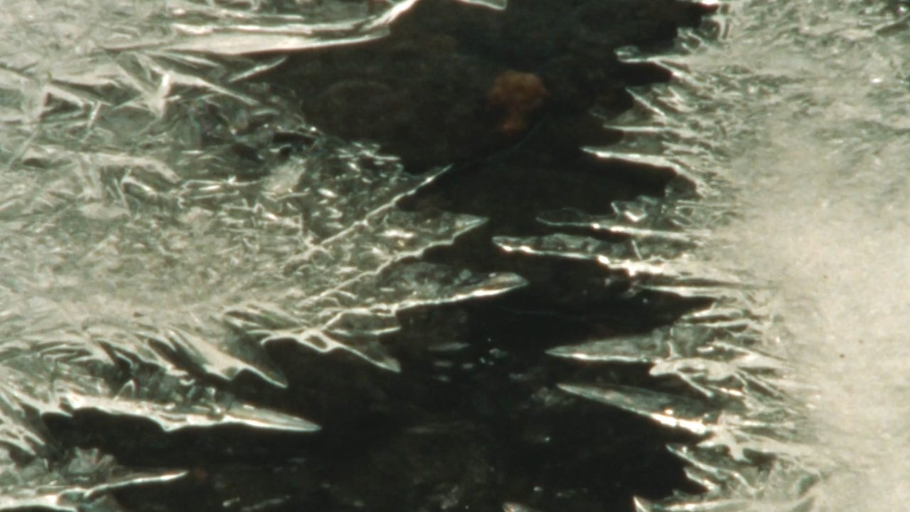 Backdrop image for movie Winter's End