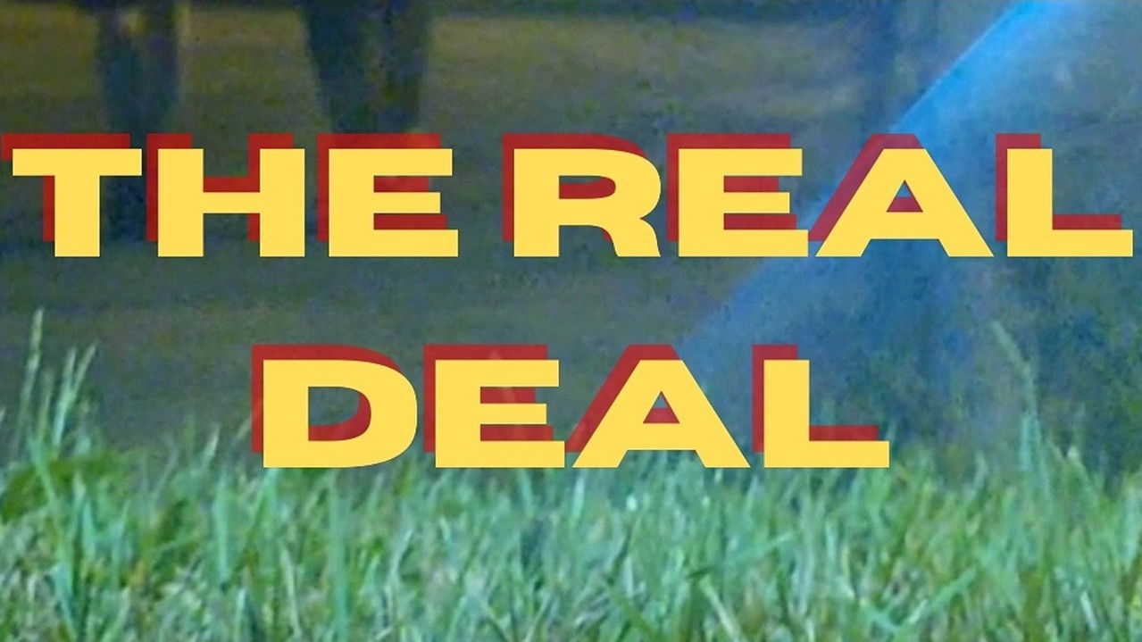 Backdrop image for movie The Real Deal