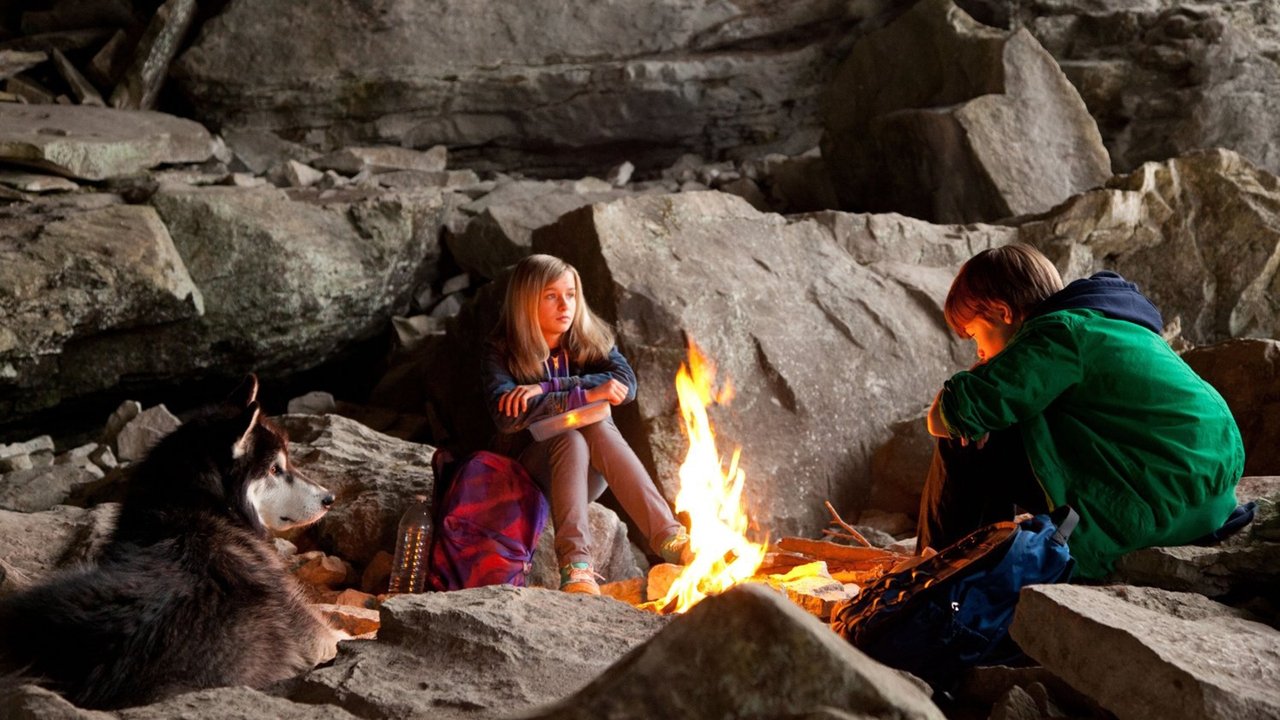 Backdrop image for movie Against the Wild