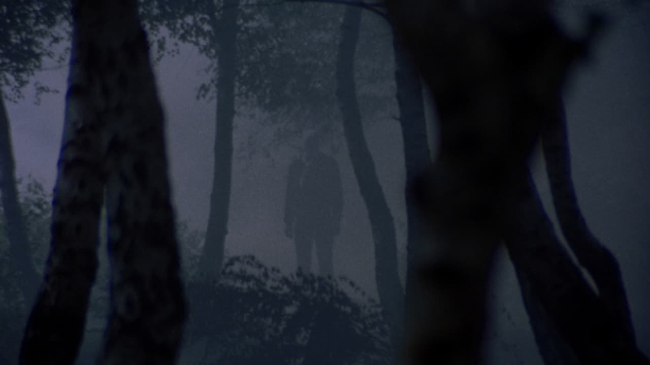 Backdrop image for movie Torso