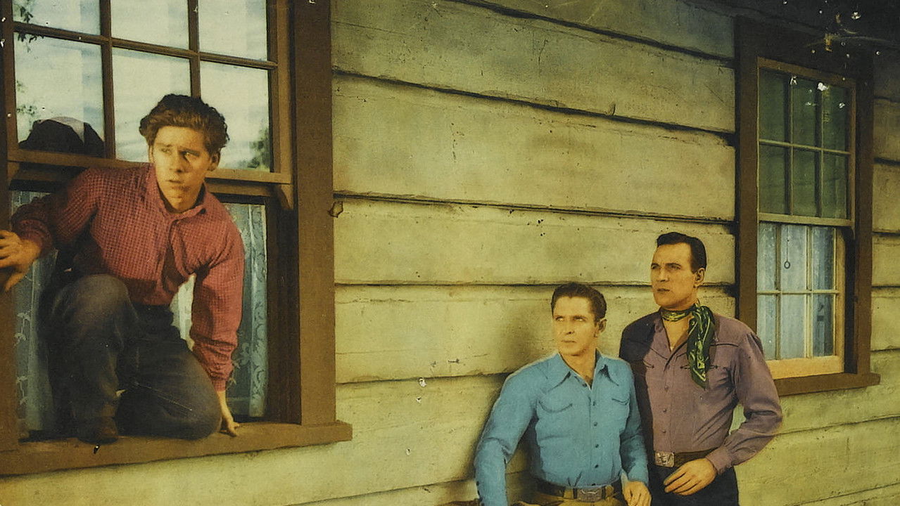 Backdrop image for movie Code of the Outlaw
