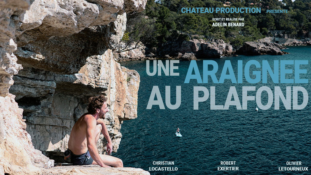 Backdrop image for movie Une Araignée au Plafond