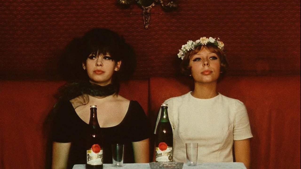 Backdrop image for movie Daisies