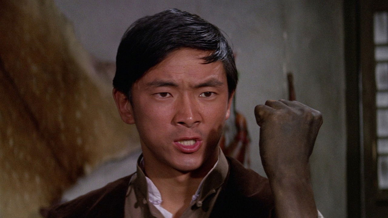 Backdrop image for movie One-Armed Boxer