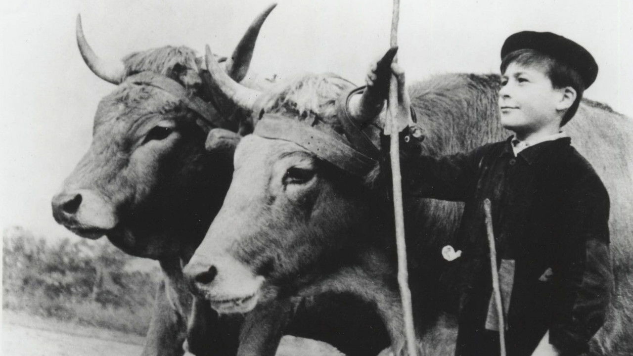 Backdrop image for movie Farrebique, or the Four Seasons