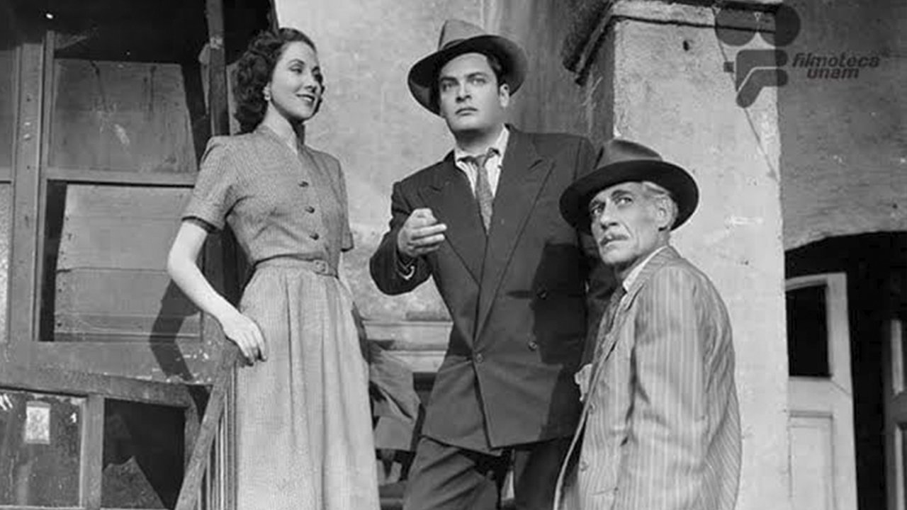 Backdrop image for movie Los Fernández de Peralvillo