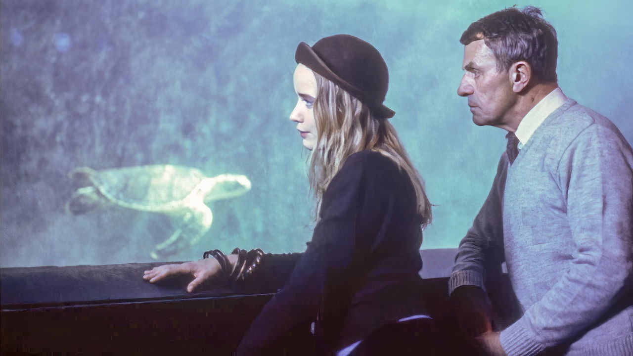 Backdrop image for movie Year of the Turtle