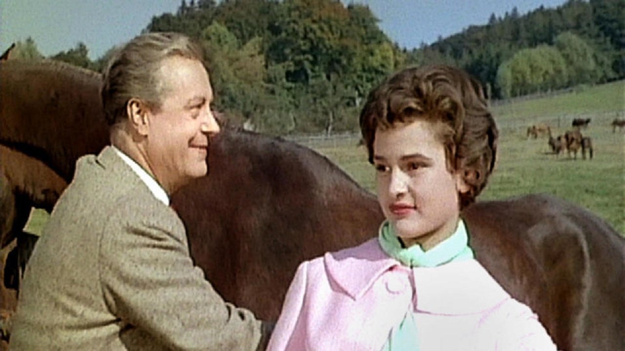 Backdrop image for movie Hubertusjagd