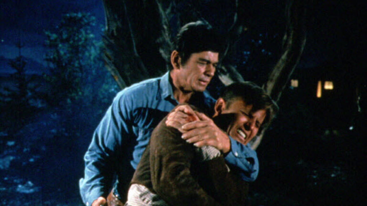 Backdrop image for movie Guns of Diablo