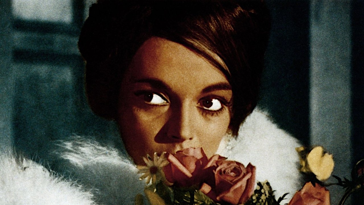 Backdrop image for movie The Ghost
