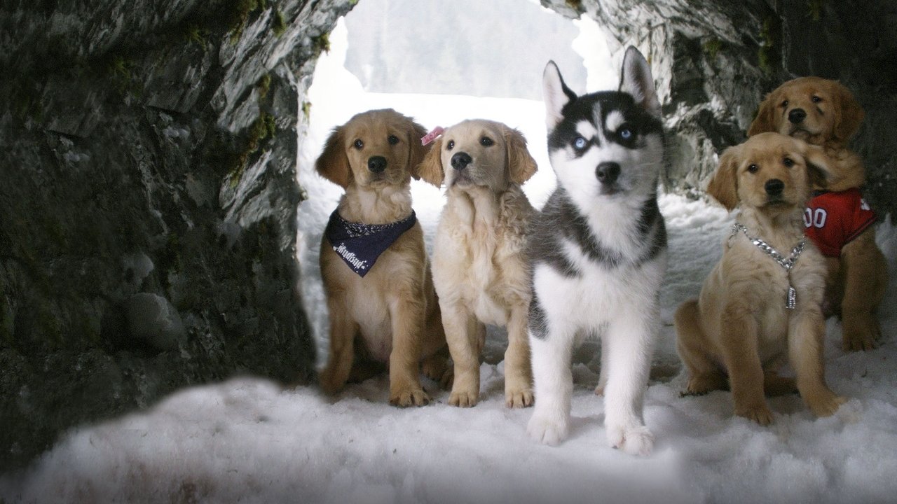 Backdrop image for movie Snow Buddies