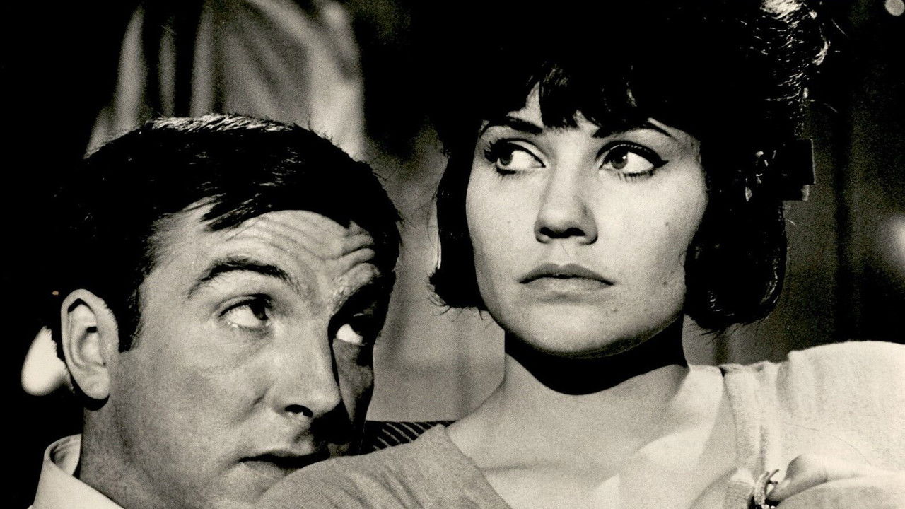 Backdrop image for movie Saturday Night Out