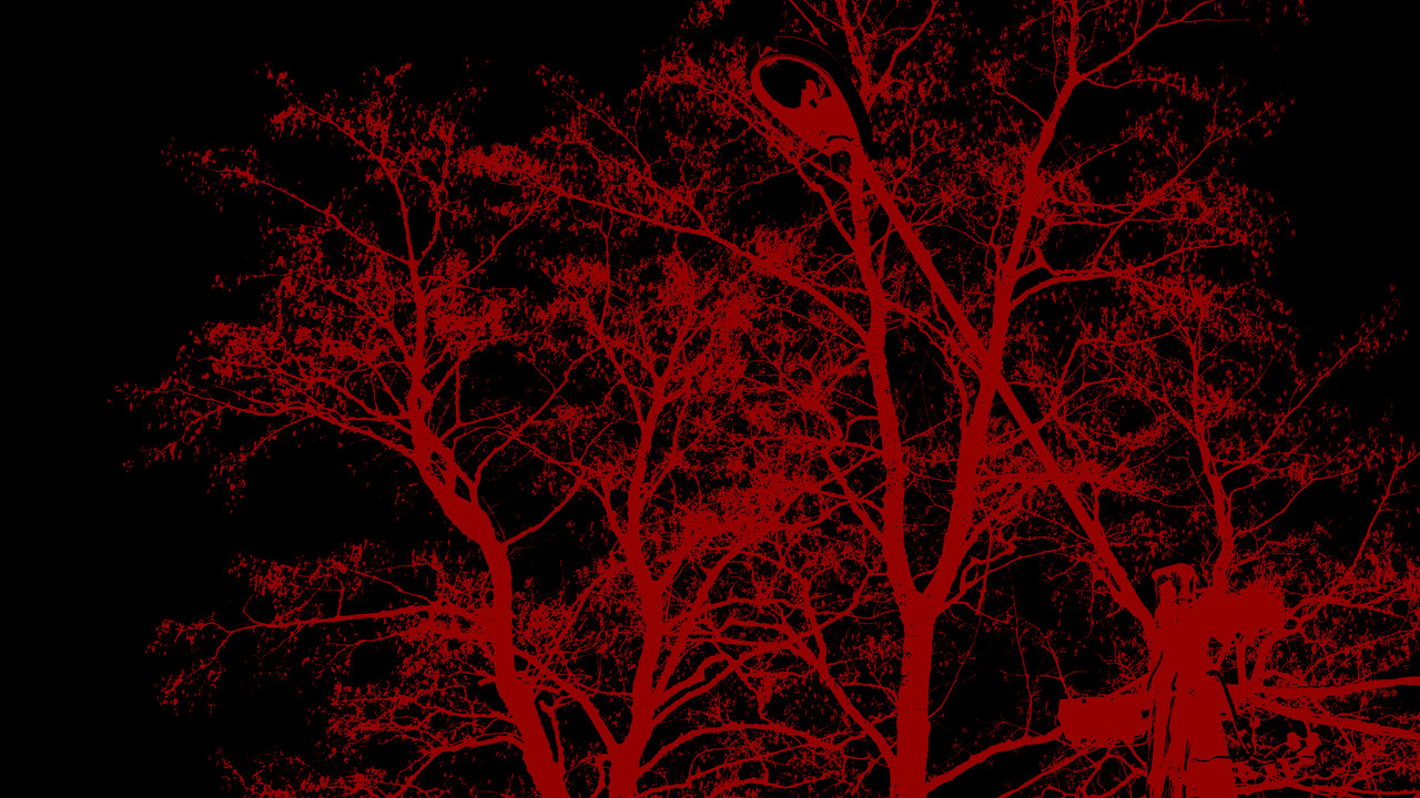 Backdrop image for movie The Sounds of 7am