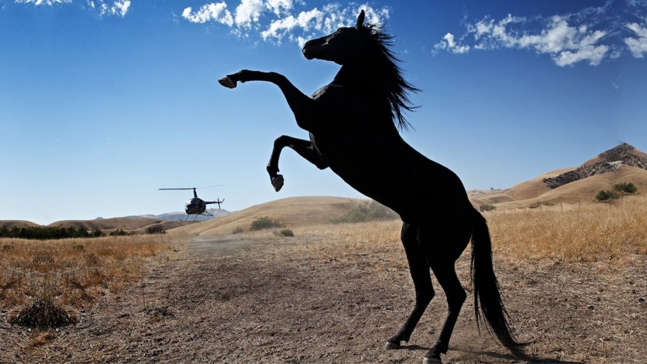 Backdrop image for movie Wild Horses