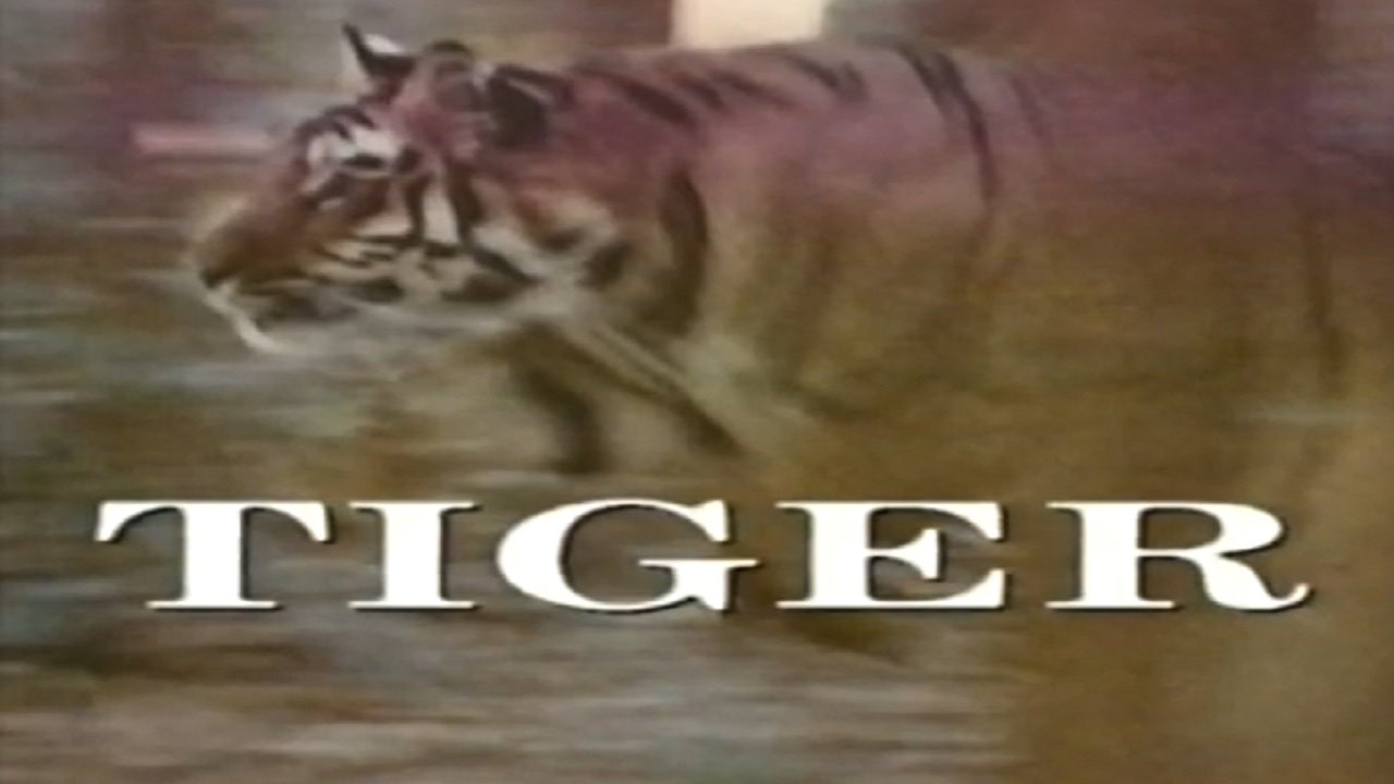 Backdrop image for movie Predators of the Wild: Tiger