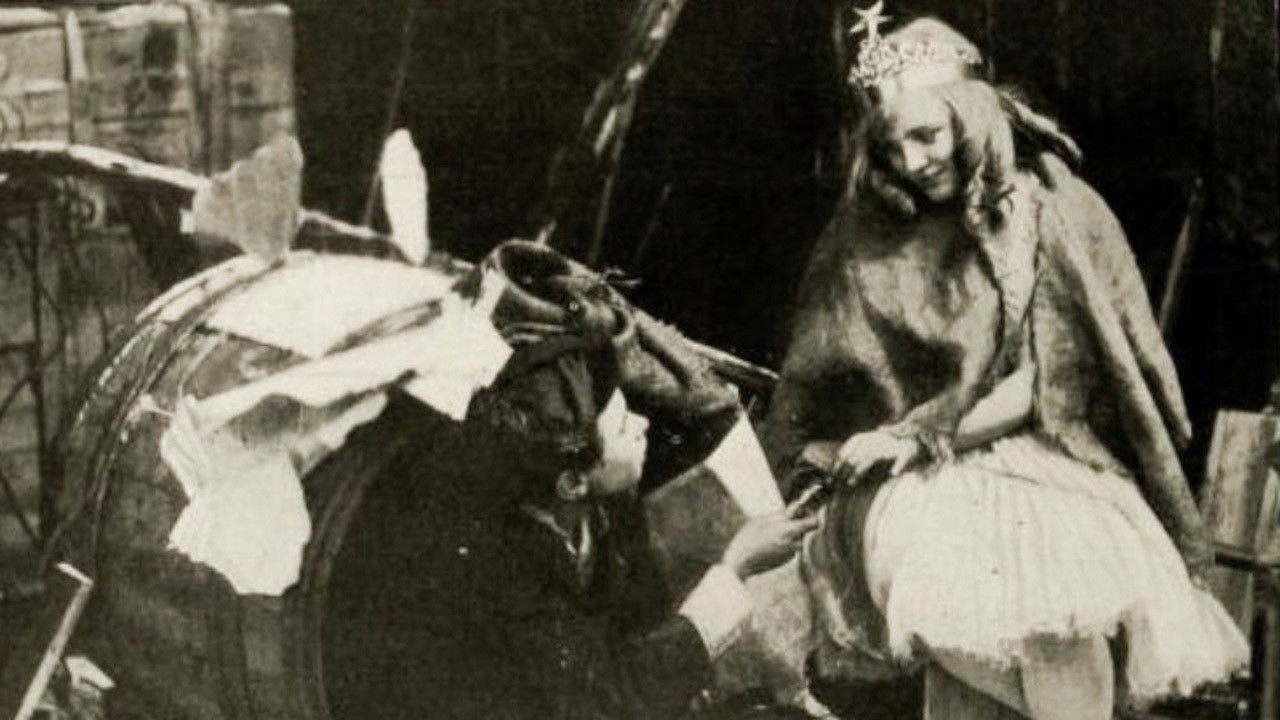 Backdrop image for movie The Fairy and the Waif