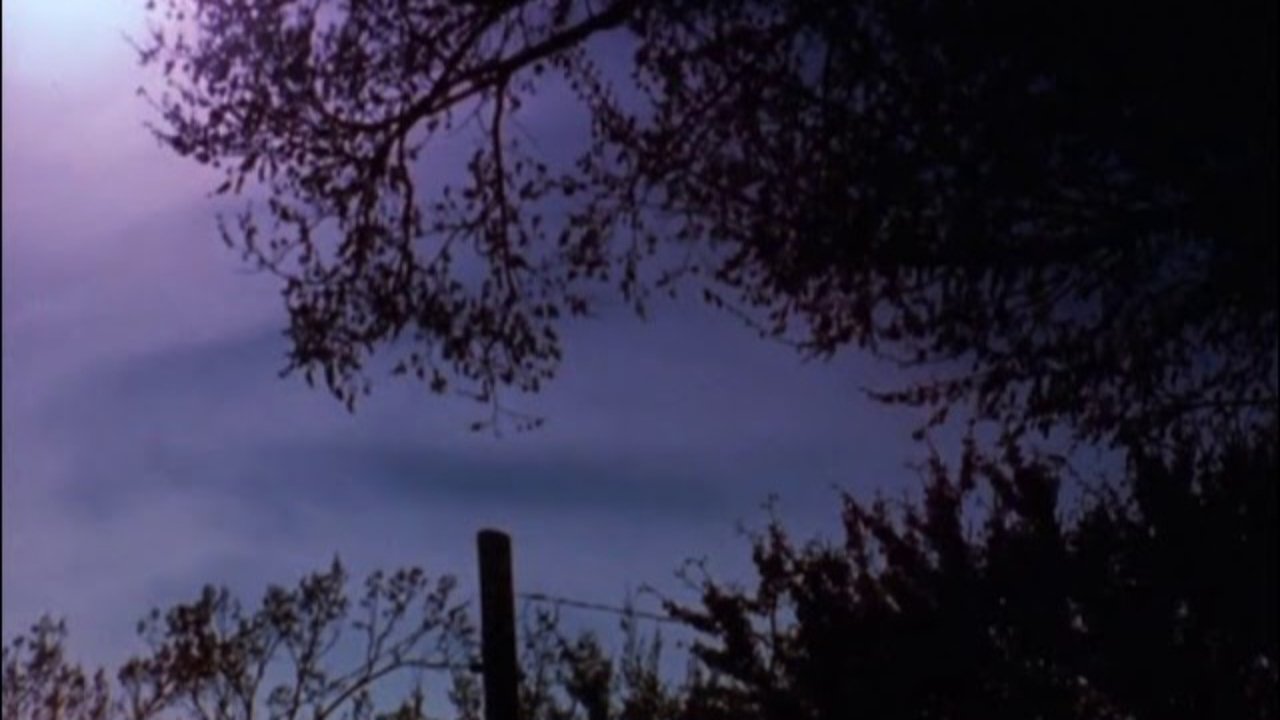 Backdrop image for movie The Stars Are Beautiful