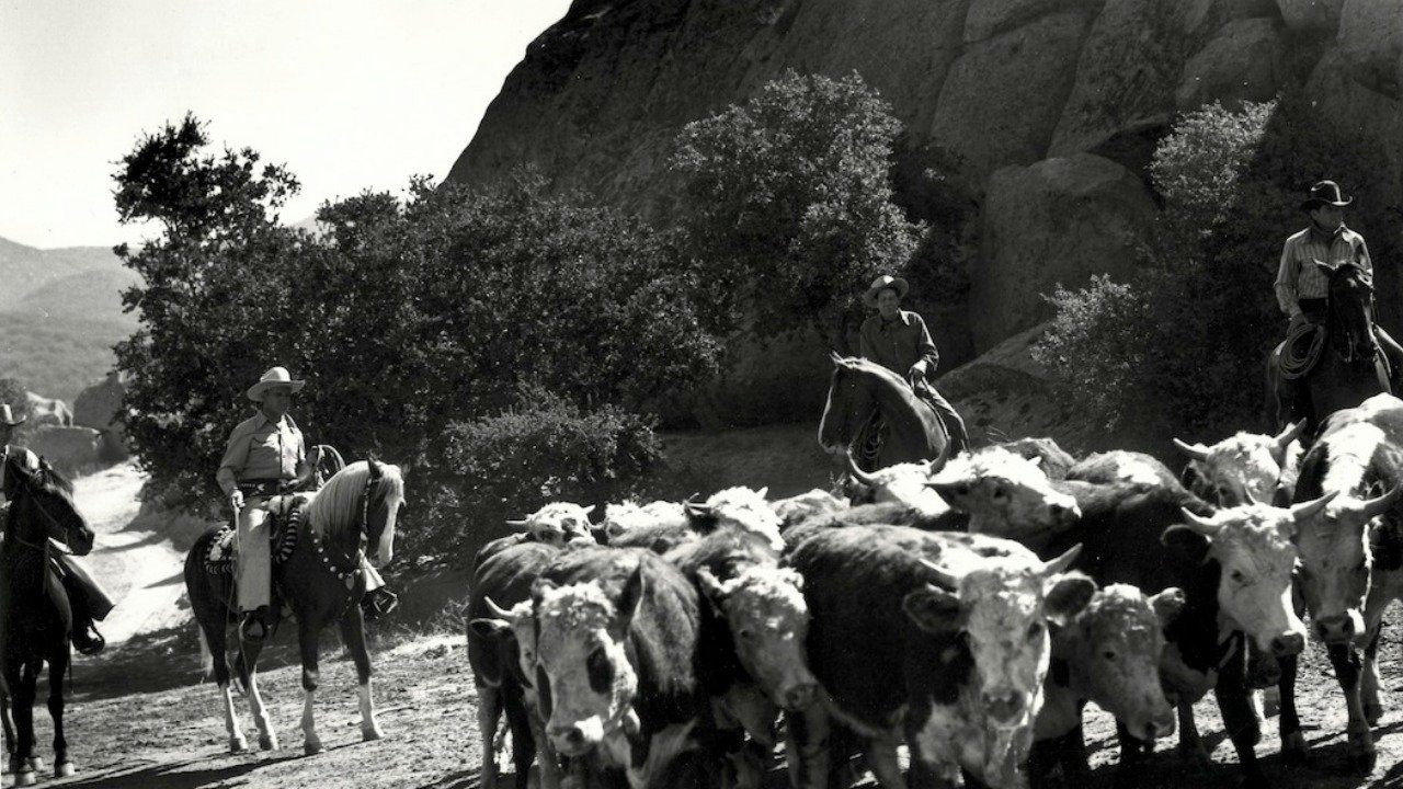Backdrop image for movie Riders in the Sky