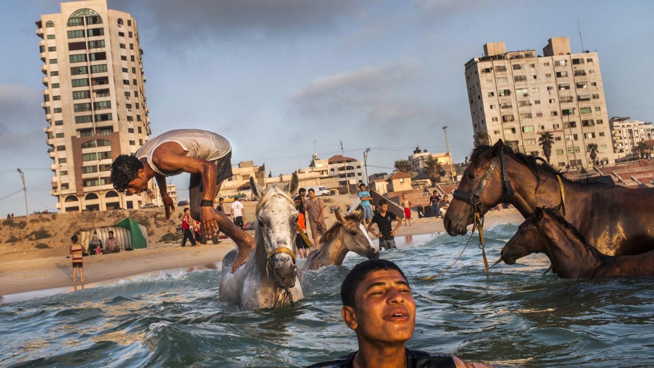 Backdrop image for movie Gaza